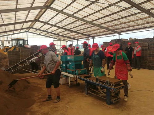 我縣舉辦水稻工廠化育秧技術(shù)觀摩活動(dòng)